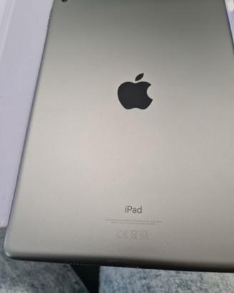 I PAD