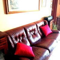 vendessi divano e poltrone