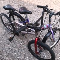 Bici pronte a pedalare già revisionate