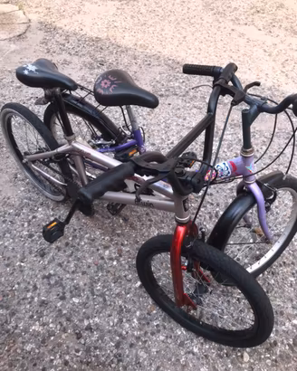 Bici pronte a pedalare già revisionate