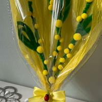 mimose per la festa della donna💛