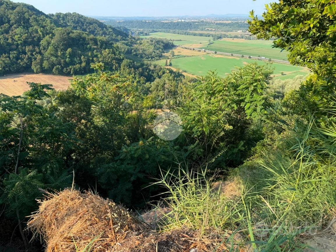 TER. AGRICOLO A MAGLIANO SABINA - Vista 5