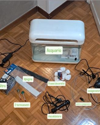 PREZZO TRATTABILE: Acquario  + accessori