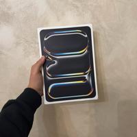 iPad Pro 11 (M4) 2024 - 256Gb (Wi-Fi + cellulare)