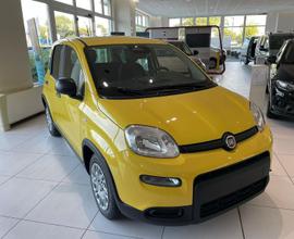 FIAT Panda 1.0 FireFly S&S Hybrid PRONTA CONSEGNA