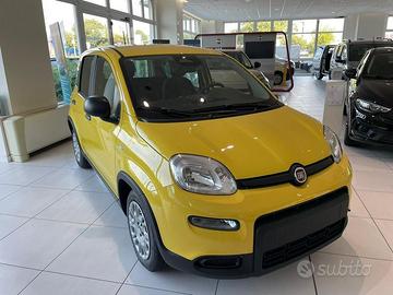 FIAT Panda 1.0 FireFly S&S Hybrid PRONTA CONSEGNA