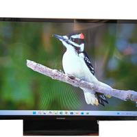 Televisore/Monitor 39" TELEFUNKEN Smart TV