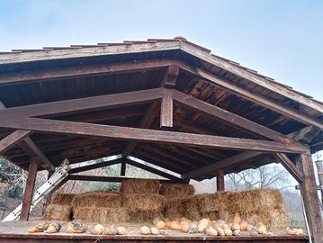 Fieno in ballette Piccole 