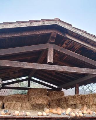 Fieno in ballette Piccole 