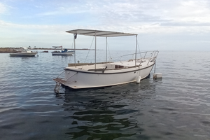 Gozzo in resina anaconda 6 metri