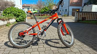bicicletta bambino 20 pollici