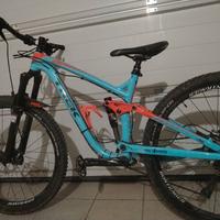 Trek Remedy 9