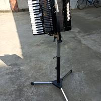 fisarmonica goldencup   come nuova