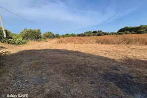 Terreno Agricolo - Quartu Sant'Elena