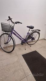 Bicicletta Ragazza