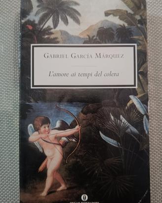 Libro "L'amore ai tempi del colera" di GG Marquez