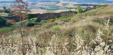 Terreno di 80000 m² a Tarquinia