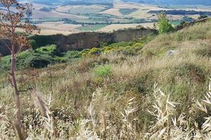 Terreno di 80000 m² a Tarquinia