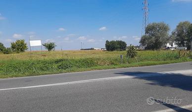 RGE 133/2023 Tribunale Verona - Lotto 2)