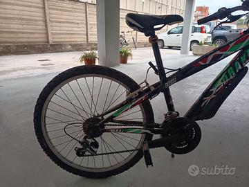 Bicicletta ragazzo