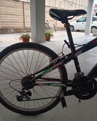 Bicicletta ragazzo