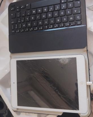 iPad Mini 1ª gen Schermo rotto