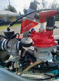 GO KART COMPLETO FK ROTAX MINI MONDIALE BAHREIN