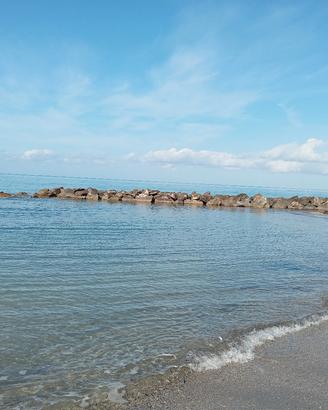 Dal 20 settembre 350 mt mare Mazzanta Animali ok 