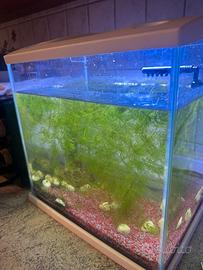 Acquario completo
