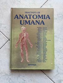 Anatomia Umana Anastasi Volume 3
