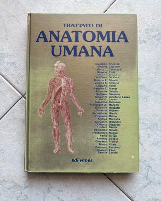 Anatomia Umana Anastasi Volume 3