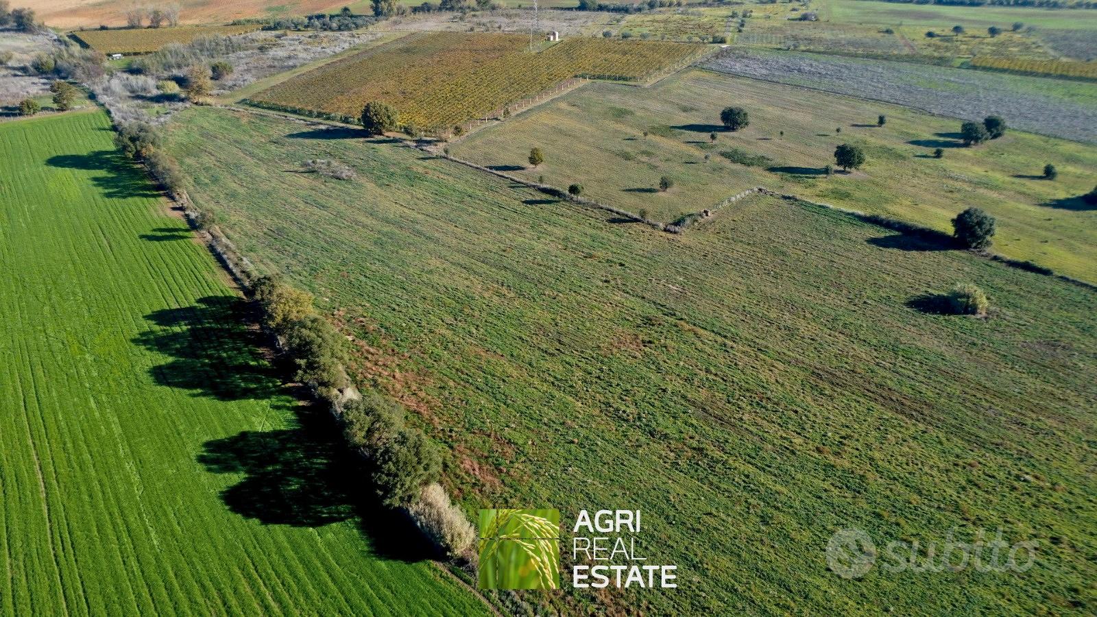 Terreno agricolo 7 HA con pozzo e magazzino - Vista 5