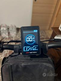 Fat bike 750w