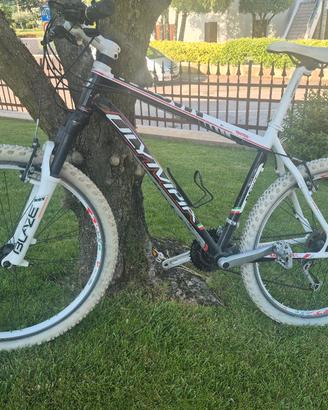 bicicletta mountain bike Olimpia