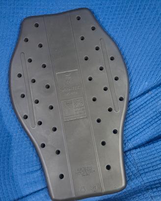 Paraschiena 