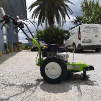 Decespugliatore taglia erba trincia Grillo