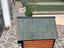 Immagine 4