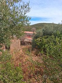 terreno