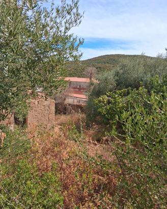 terreno