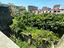 Immagine 26