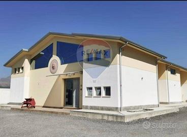Capannone Industriale - Partinico