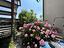 Immagine 21