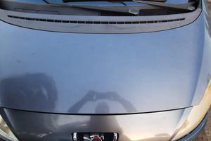 PEUGEOT 1007 ANNO 2005 - COFANO ANTERIORE