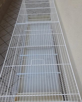 Voliere da 120cm per canarini e altro