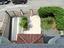 Immagine 24