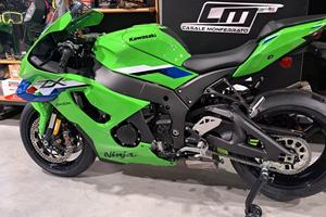 Kawasaki Ninja 1000 ZX-10R