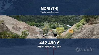 Immobile in asta di 9834 m² a Mori