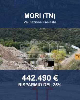 Immobile in asta di 9834 m² a Mori