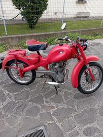 ciclomotore Motom 48 codice 