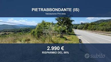 Immobile in asta di 10550 m² a Pietrabbondante